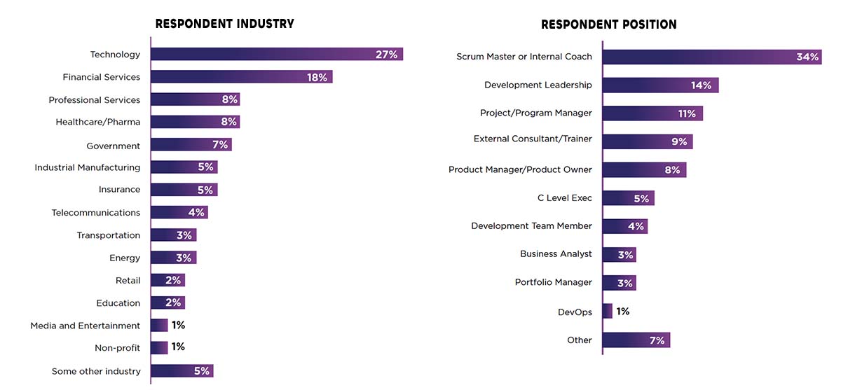 Agile teams demographics and industry infographics
